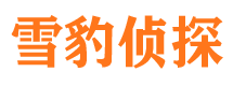 托里市私家侦探